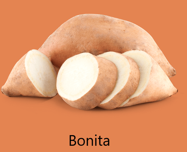 Bonita Édesburgonya