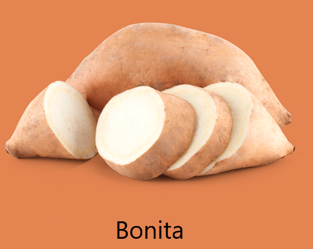 Bonita Bonita Édesburgonya
