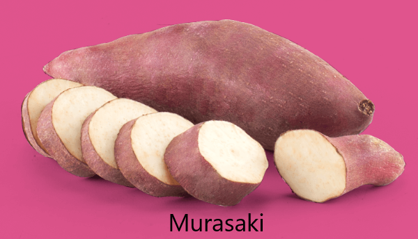 Murasaki Édesburgonya