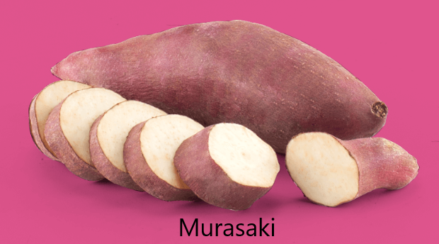 Murasaki Murasaki Édesburgonya