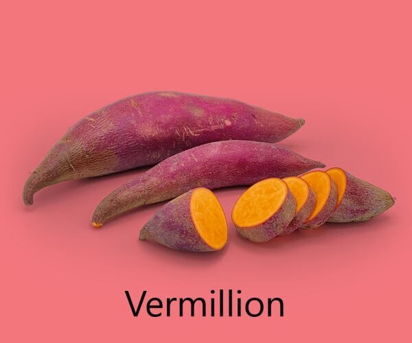 Vermillion Édesburgonya